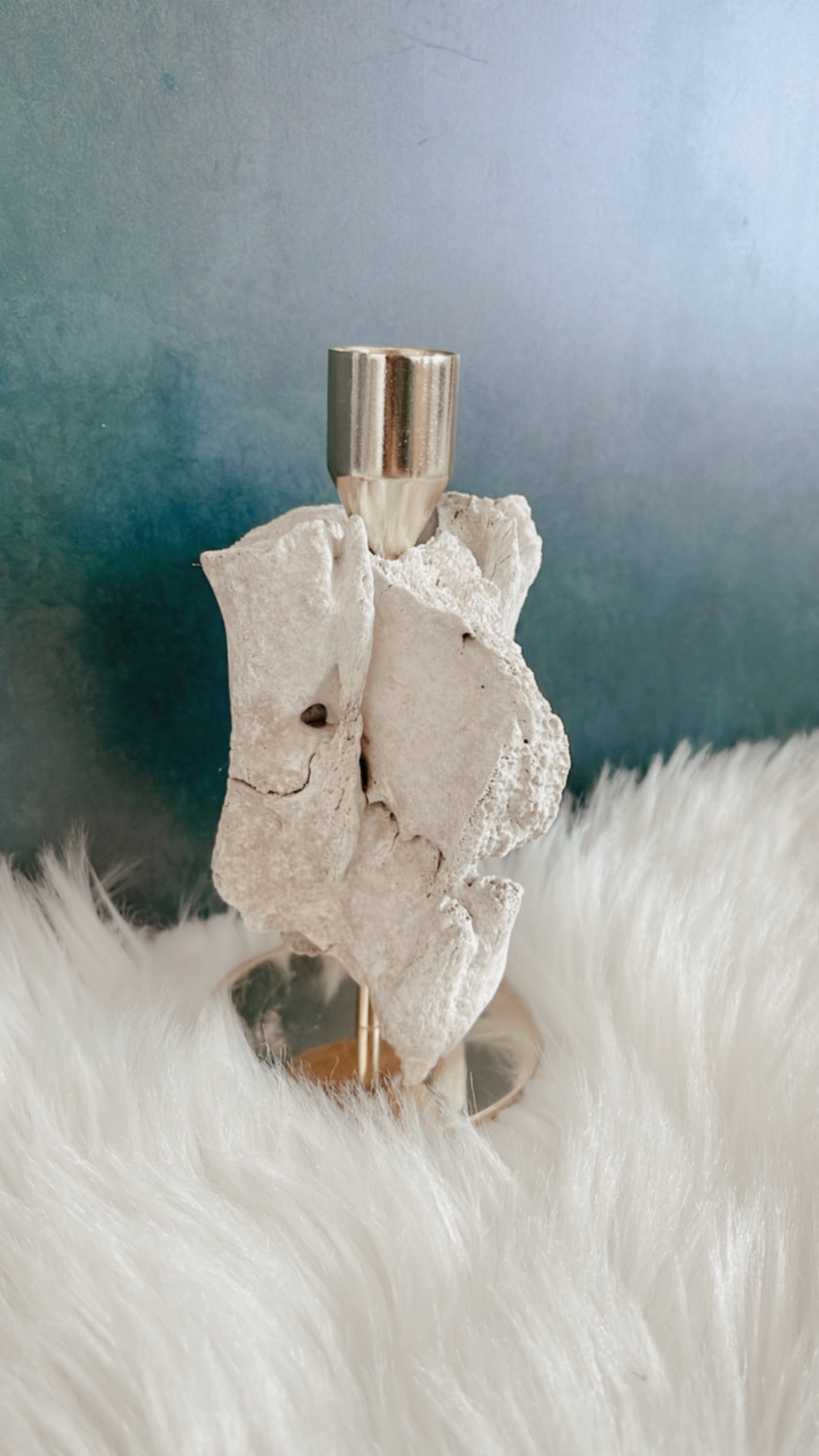 Zamira Deer Vertebrae Candlestick Holder