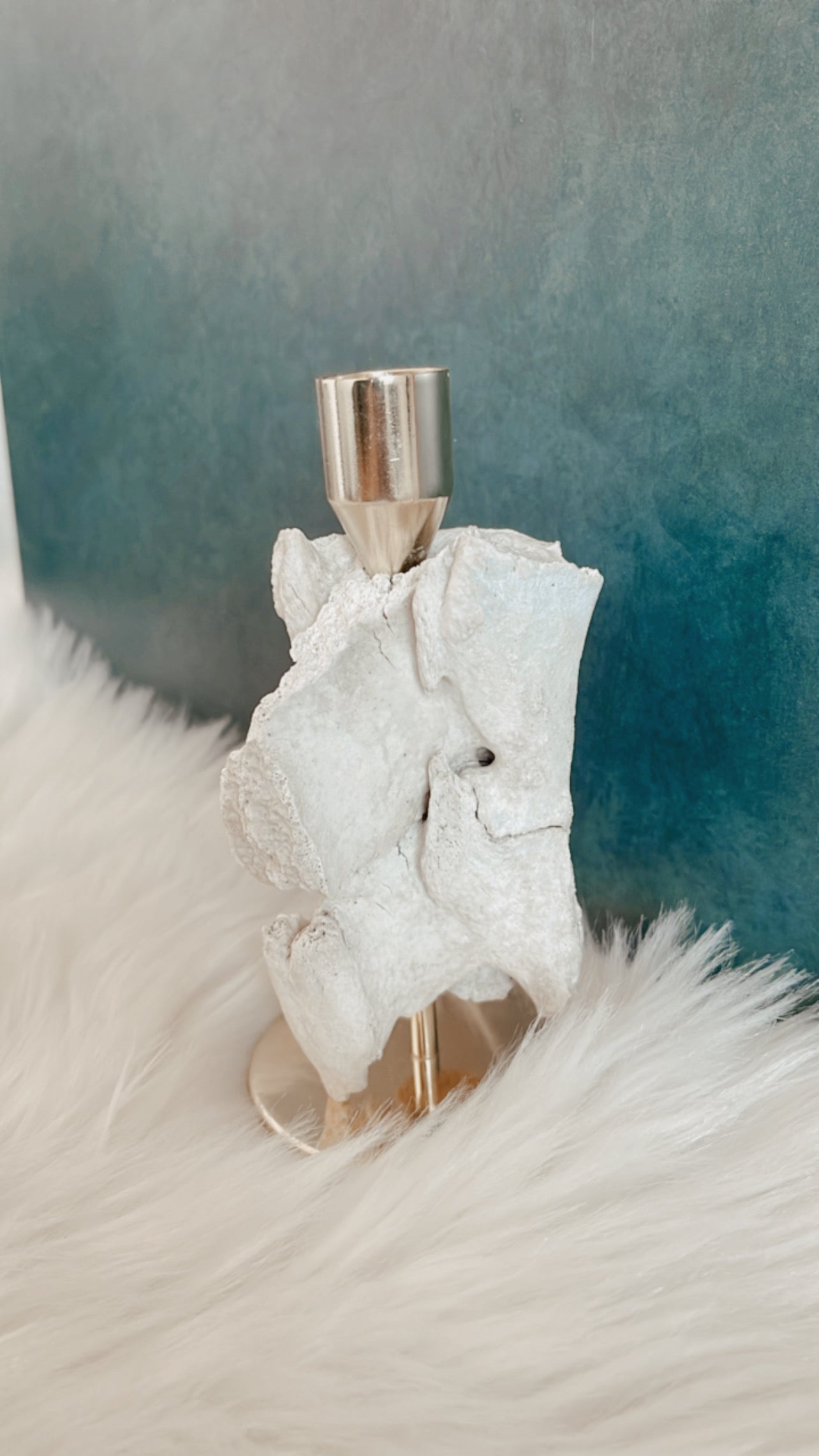 Zamira Deer Vertebrae Candlestick Holder