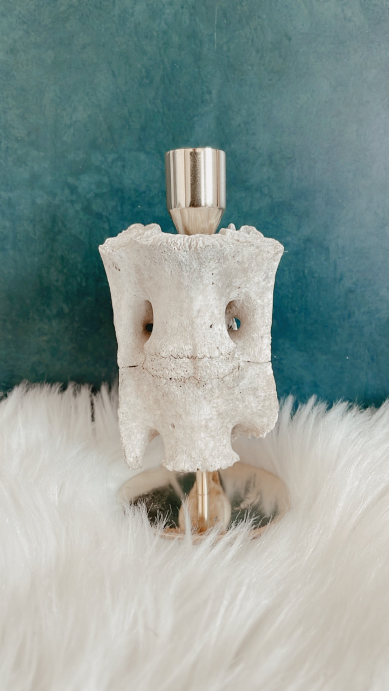 Zamira Deer Vertebrae Candlestick Holder