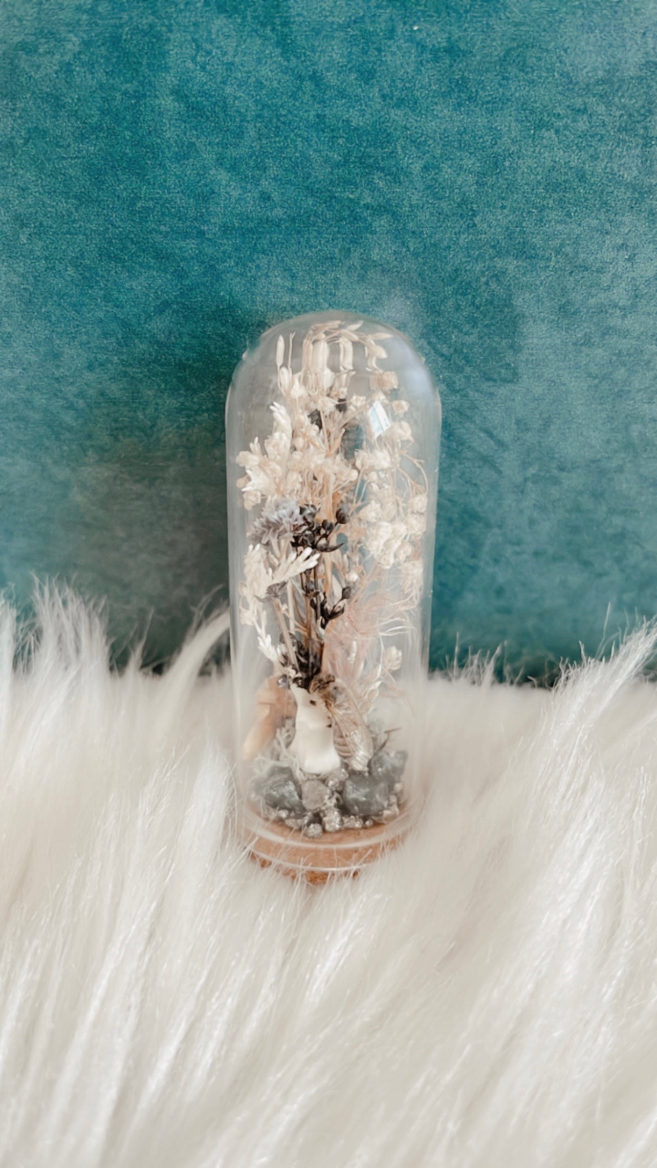 Zoe Terrarium