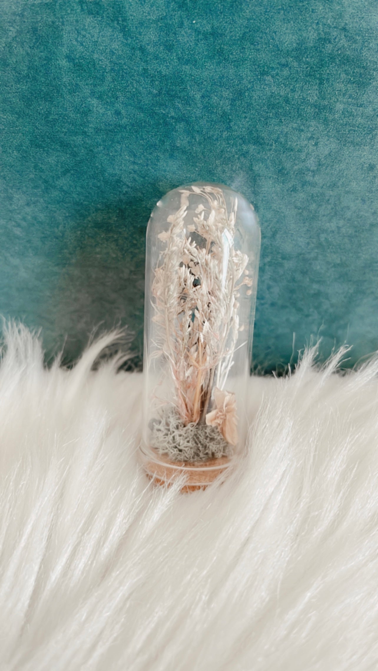 Zoe Terrarium