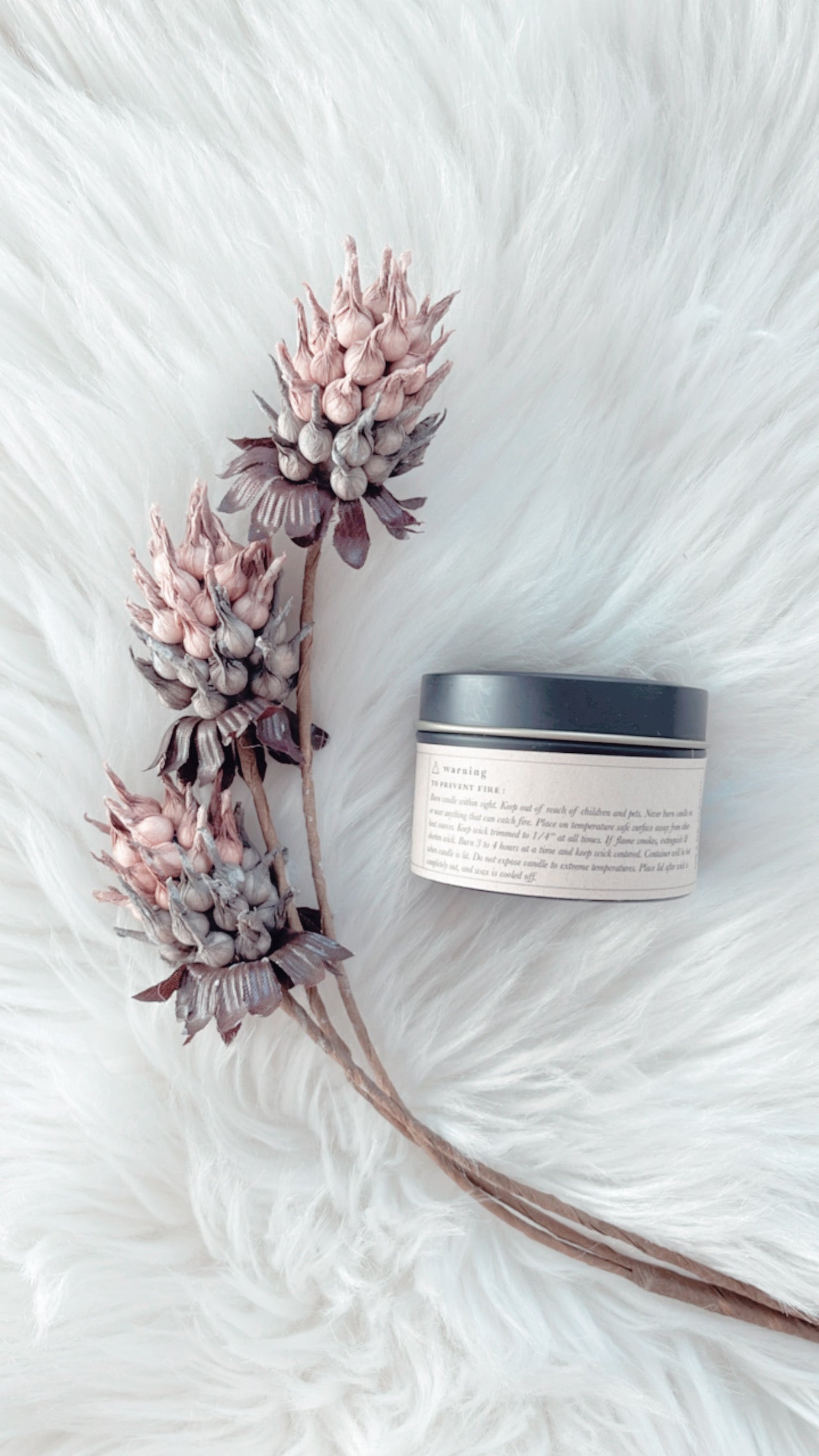 Meadow Stars 4oz Candle