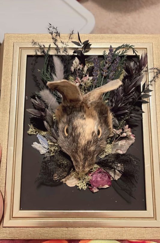 Reserved for Rachel - Custom Rabbit Oddities Frame