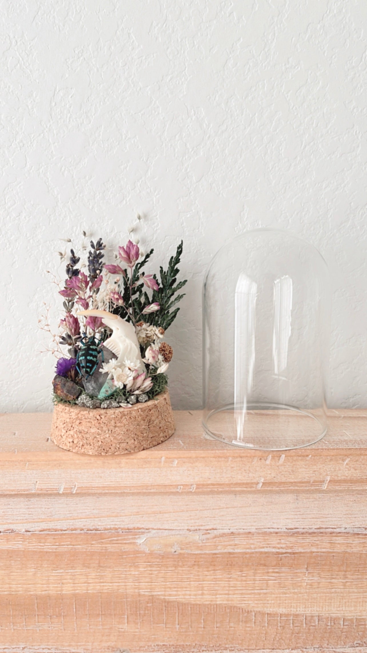 ❋ October 12 in LAFAYETTE ❋ 4:30 - Beetle & Muskrat Jaw Terrarium Workshop