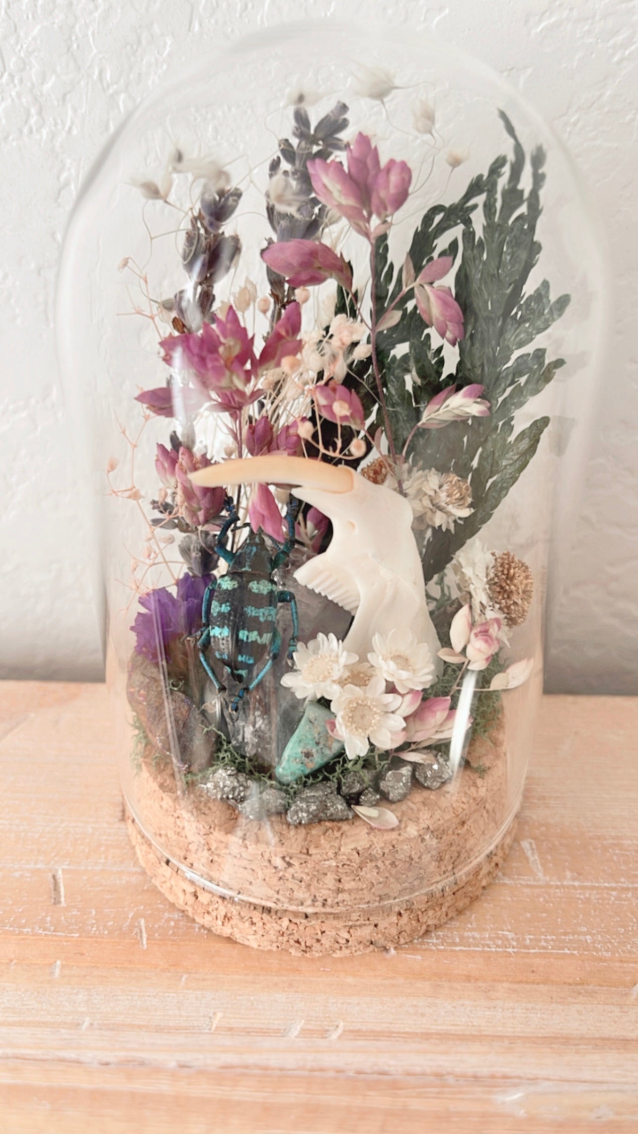 ❋ October 12 in LAFAYETTE ❋ 4:30 - Beetle & Muskrat Jaw Terrarium Workshop