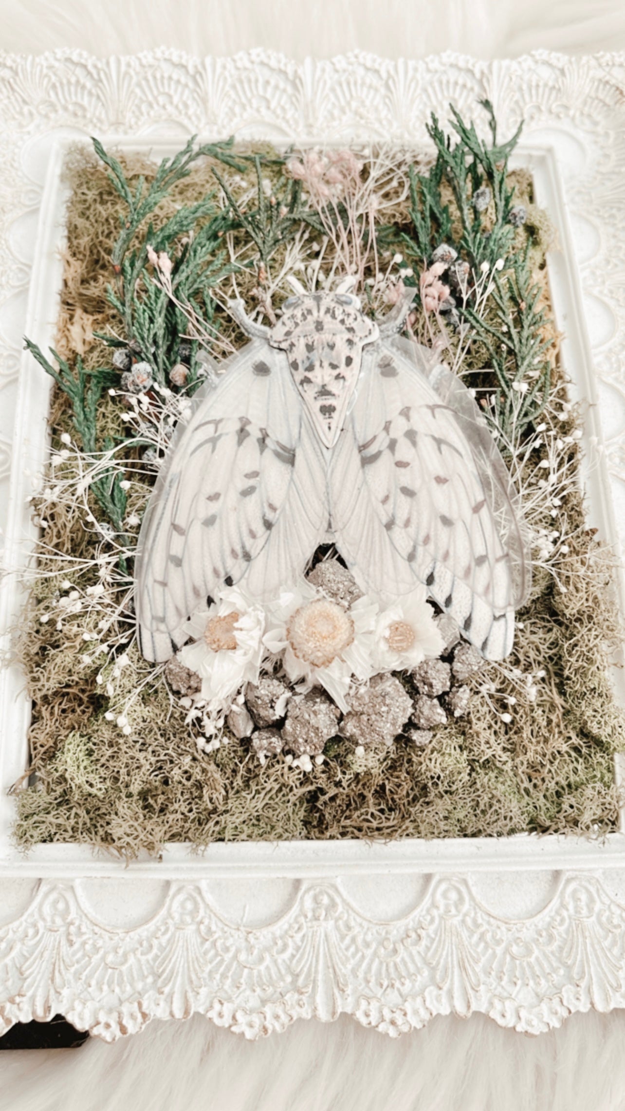 Annabelle Cicada Floral Frame