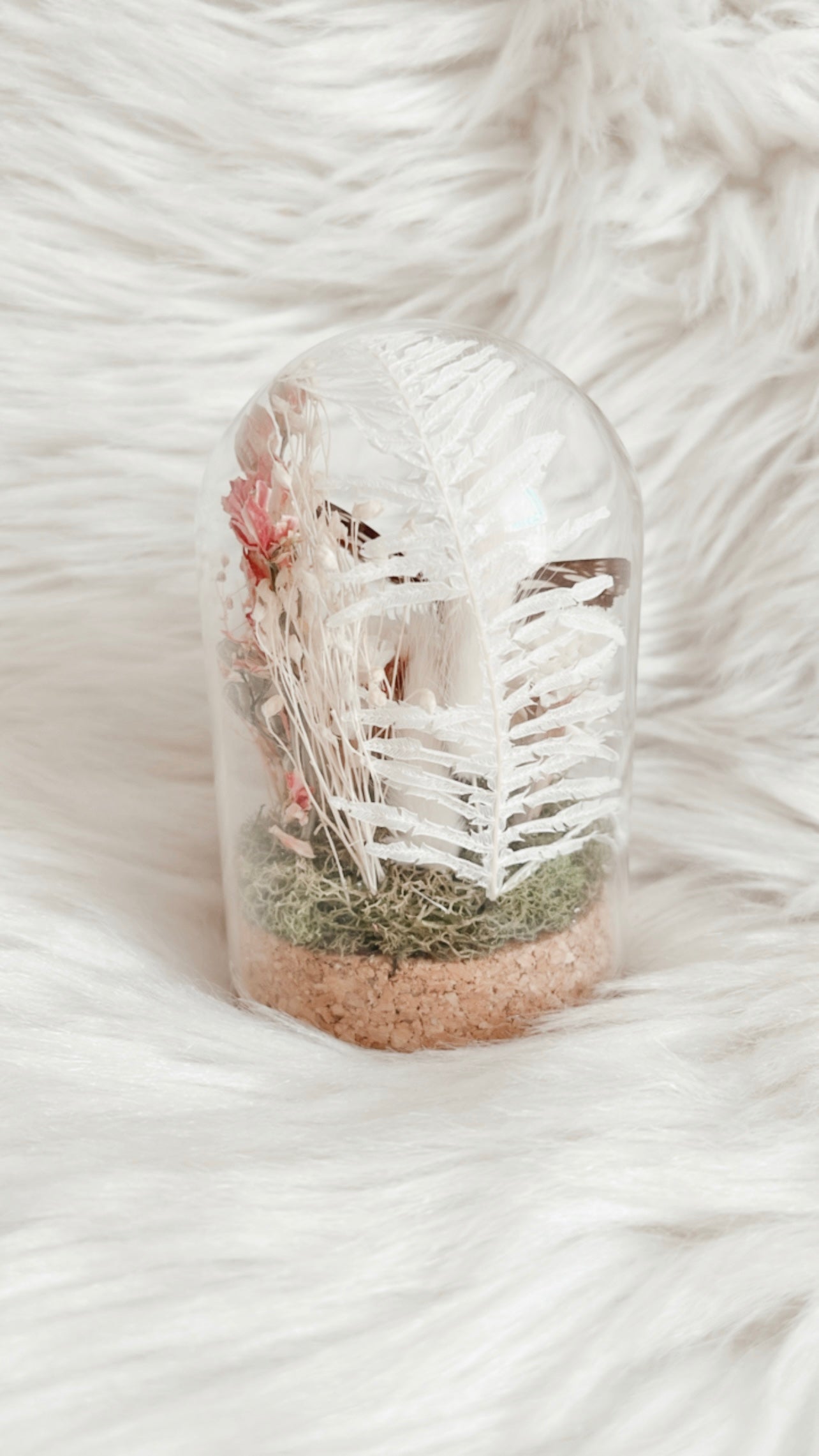 Lily Terrarium