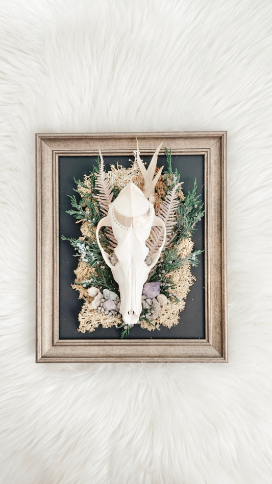 Ambrose Coyote Floral Frame