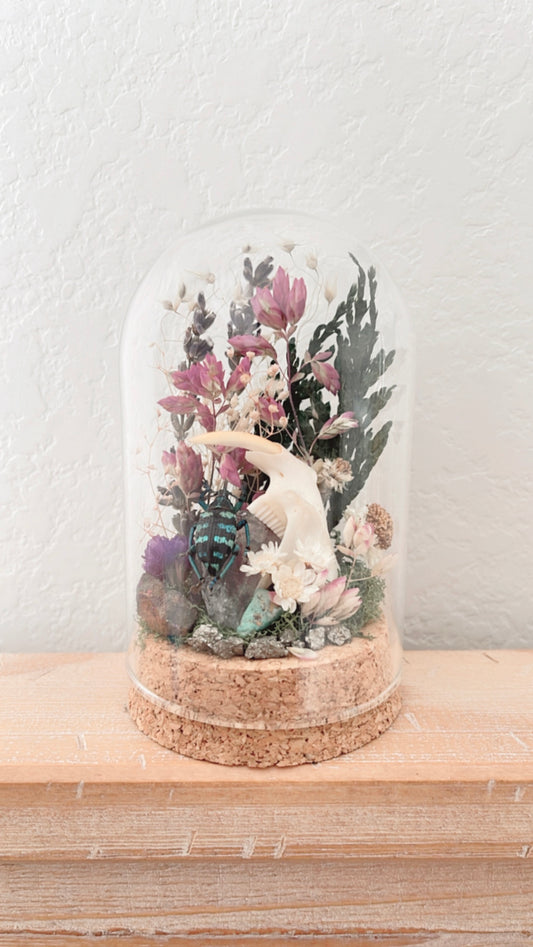 ❋ October 12 in LAFAYETTE ❋ 4:30 - Beetle & Muskrat Jaw Terrarium Workshop