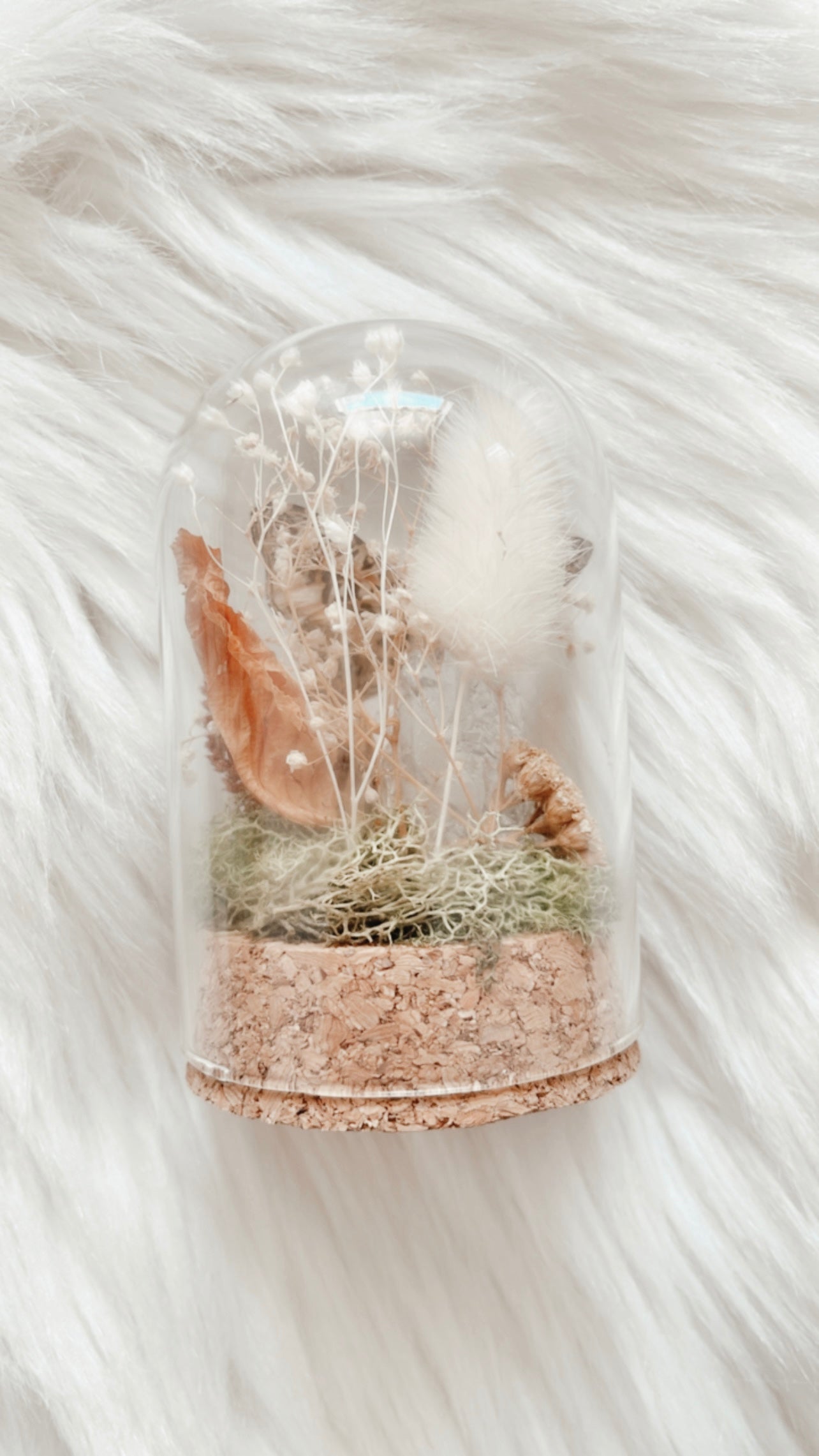 Sylvie Terrarium