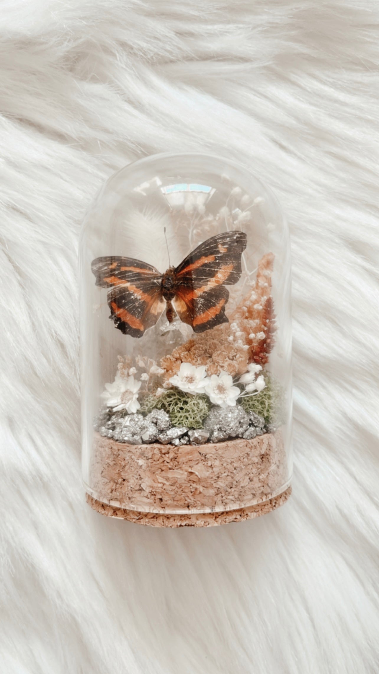 Sylvie Terrarium