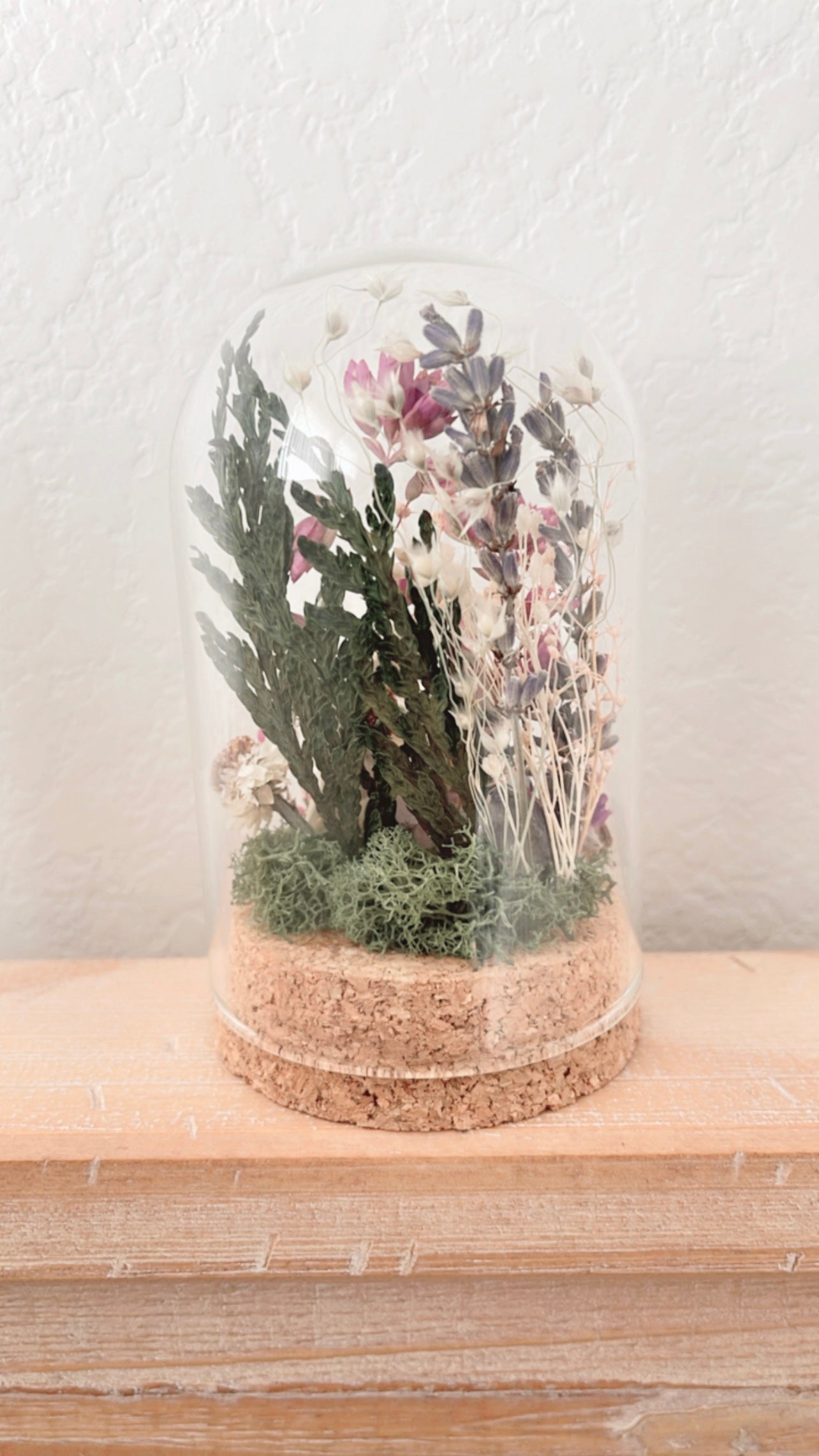 ❋ October 12 in LAFAYETTE ❋ 4:30 - Beetle & Muskrat Jaw Terrarium Workshop
