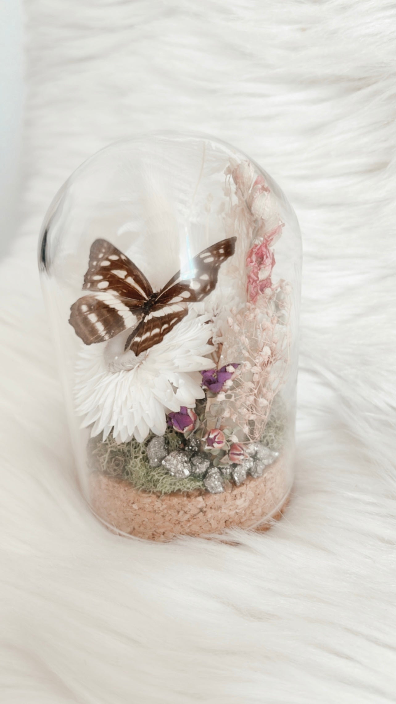 Lily Terrarium