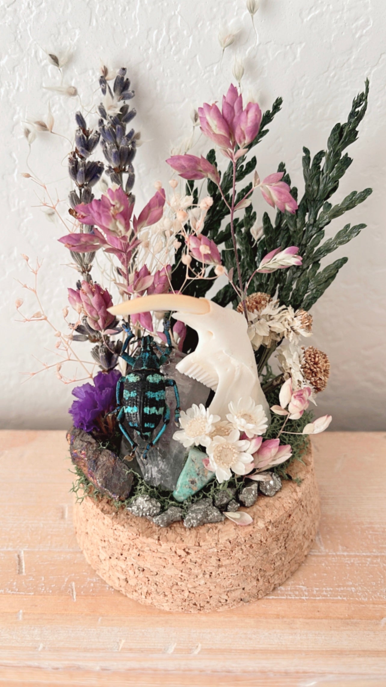 ❋ October 12 in LAFAYETTE ❋ 4:30 - Beetle & Muskrat Jaw Terrarium Workshop
