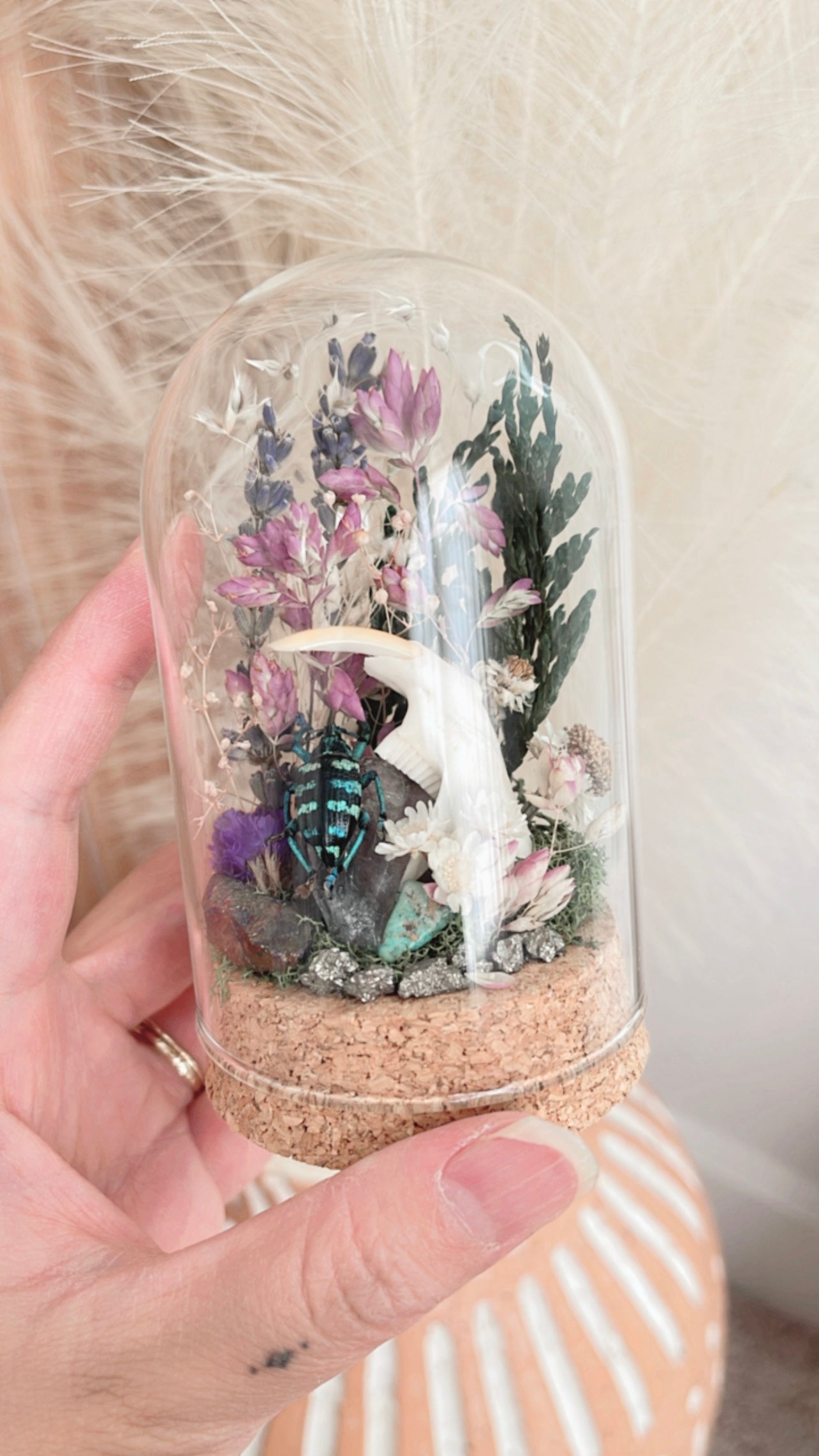 ❋ October 12 in LAFAYETTE ❋ 4:30 - Beetle & Muskrat Jaw Terrarium Workshop