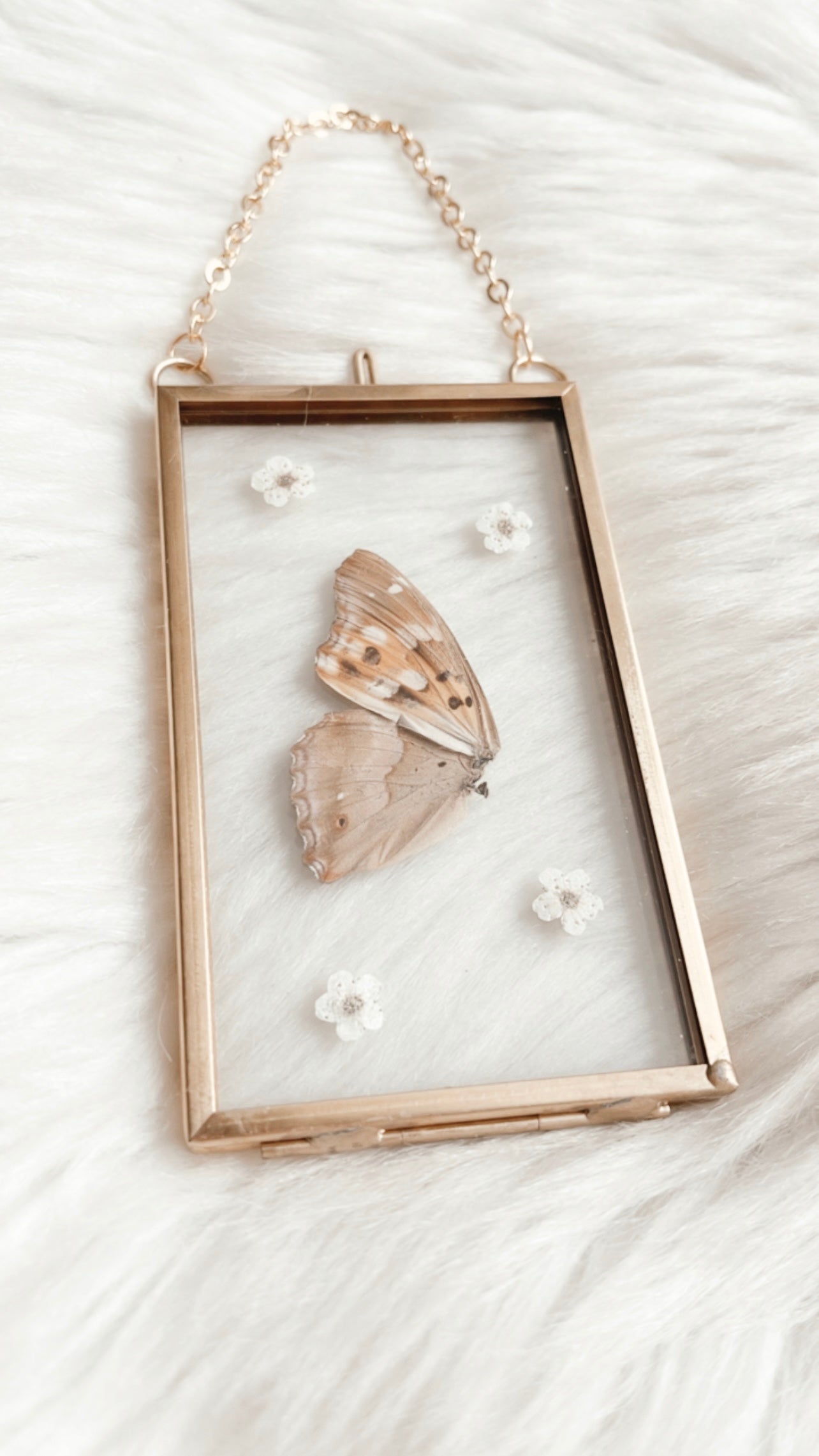 Abigail Butterfly Floral Frame