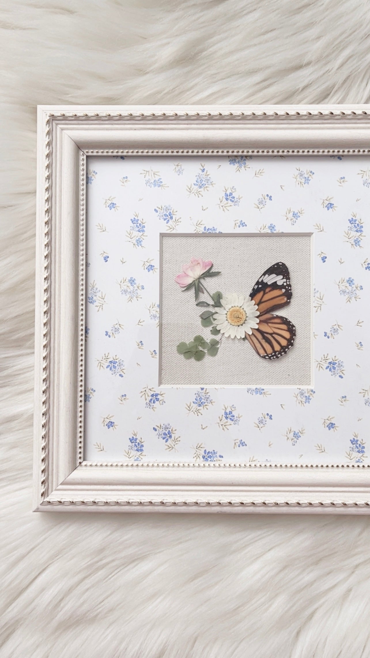 Adeline Butterfly Ornate Frame
