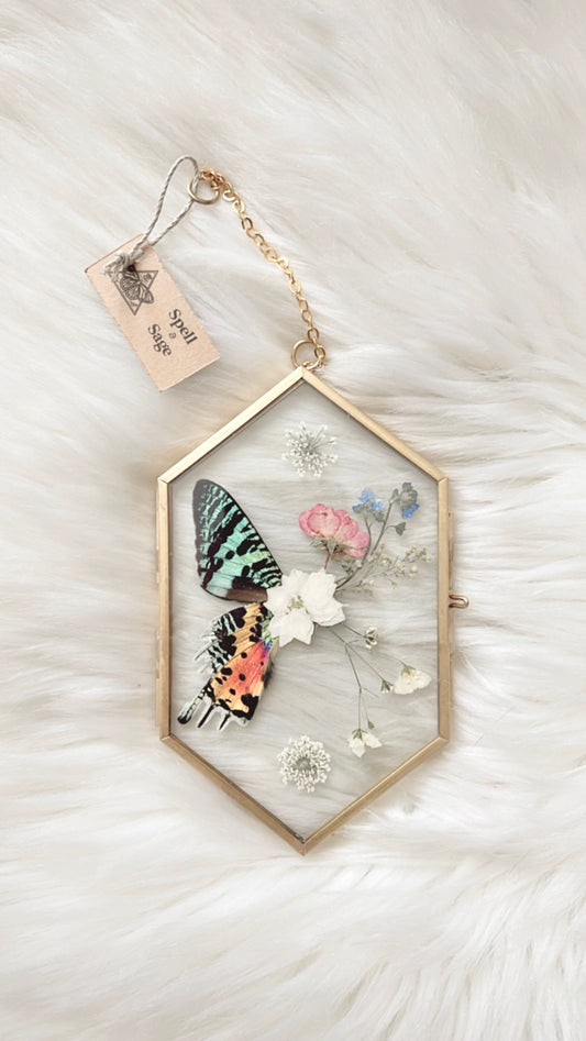 Agatha Moth Floral Frame <3.5x6in>