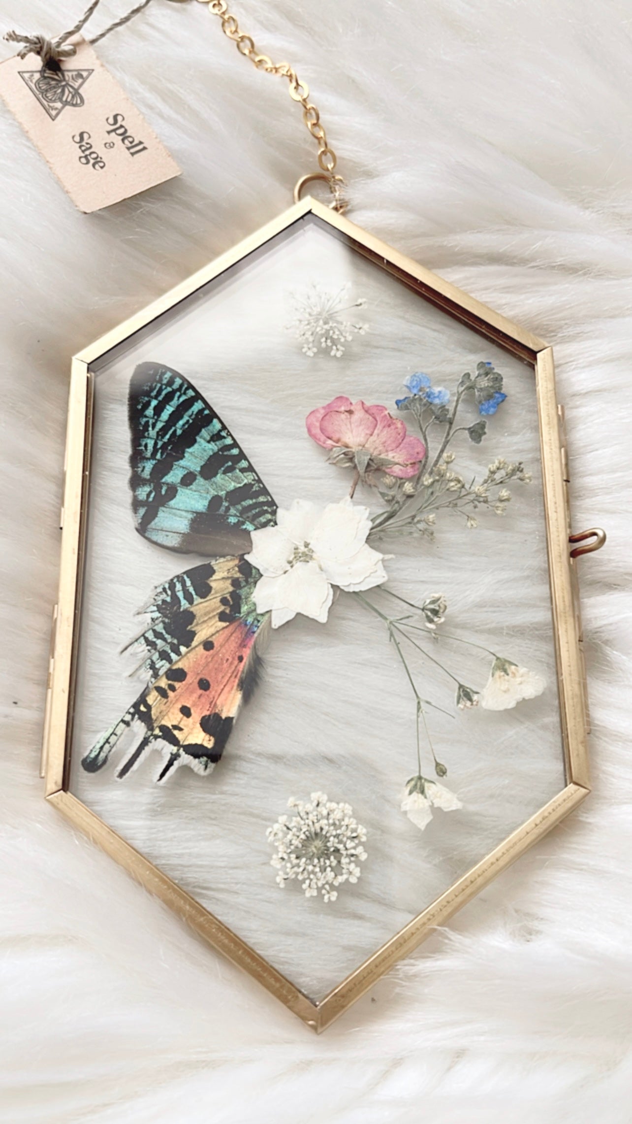 Agatha Moth Floral Frame <3.5x6in>