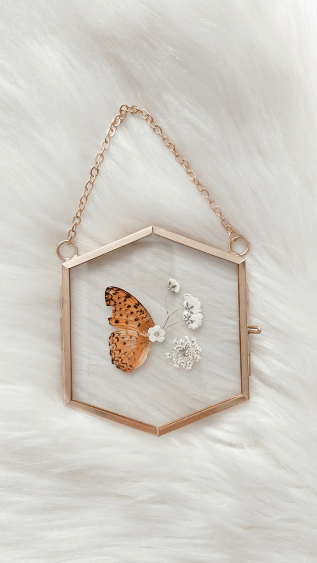 Aggie Butterfly Floral Frame