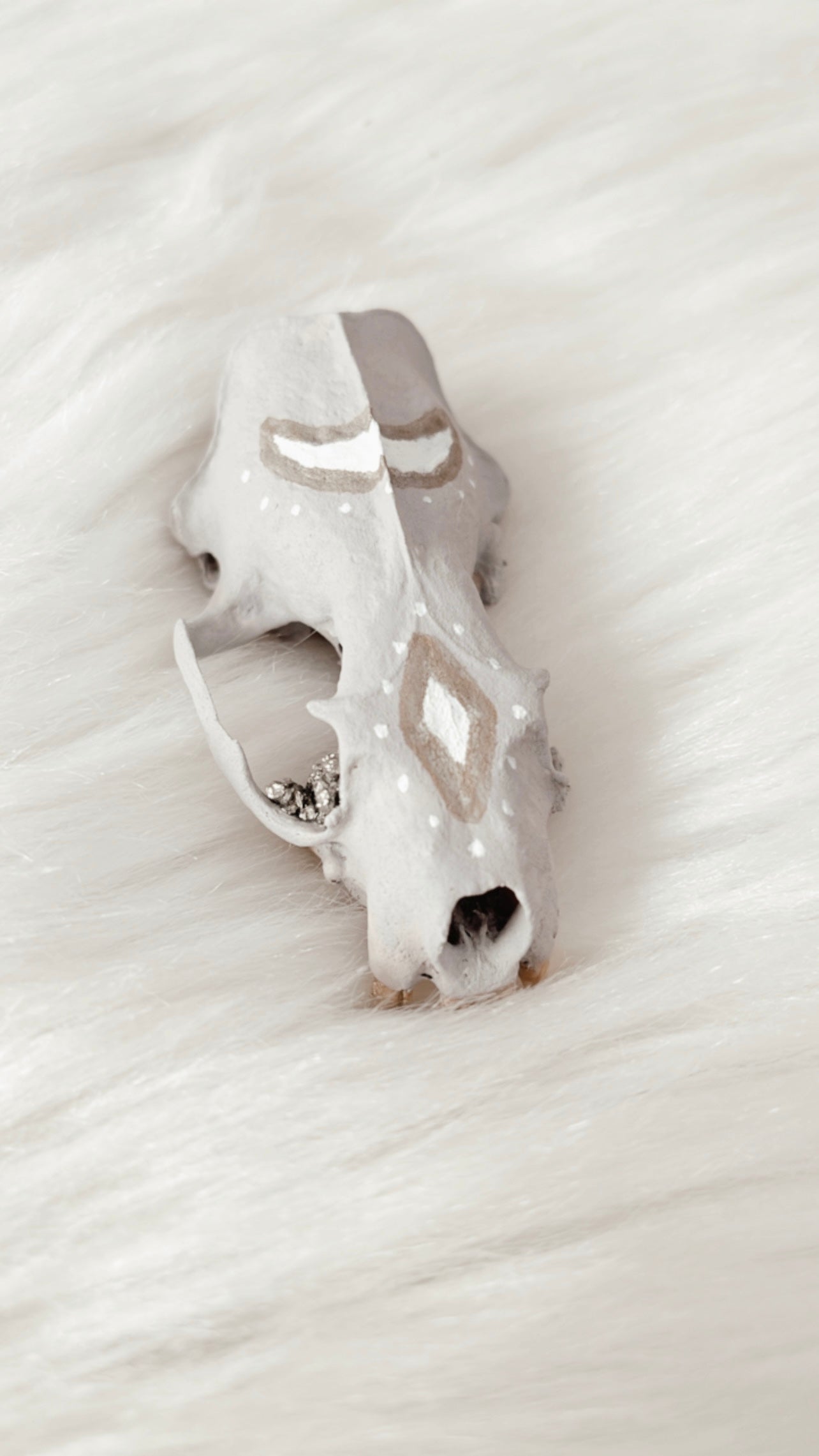 Alchemy Mink Skull