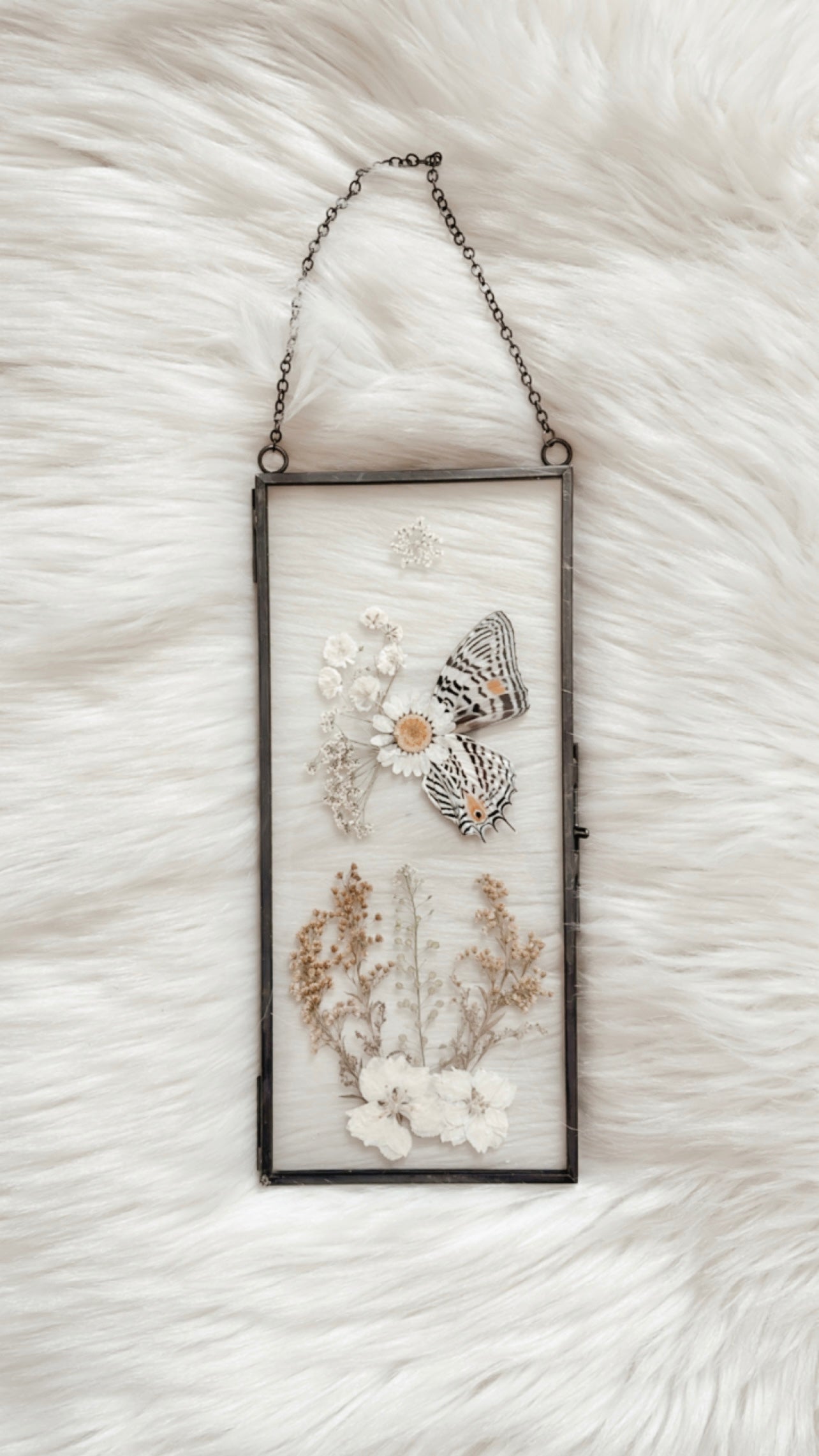 Alexa Butterfly Floral Frame