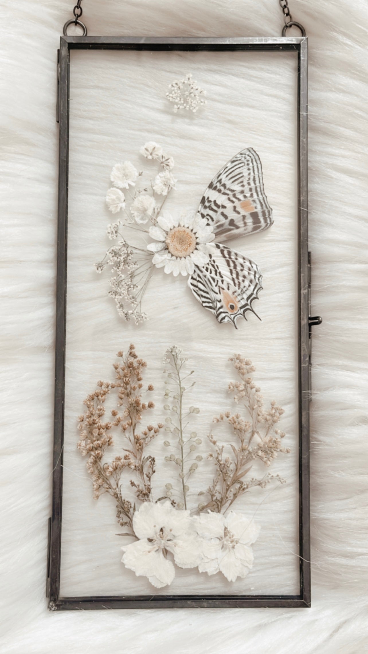 Alexa Butterfly Floral Frame