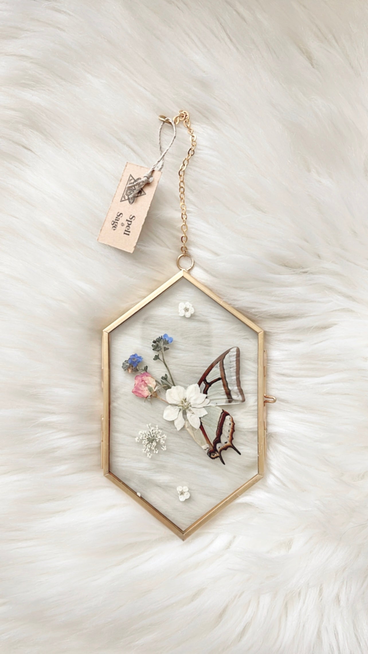 Alice Butterfly Floral Frame <3.5x6in>