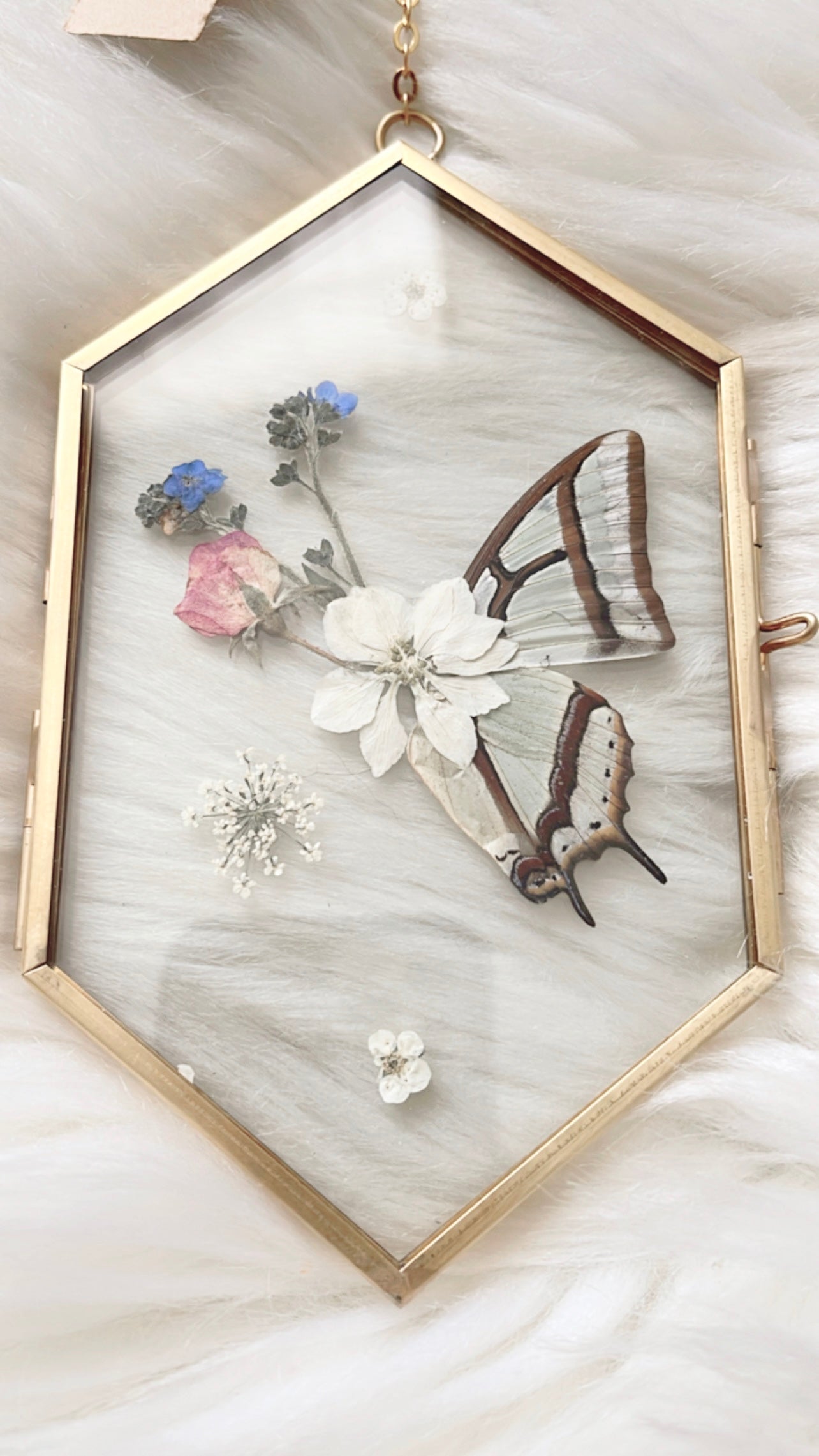 Alice Butterfly Floral Frame <3.5x6in>