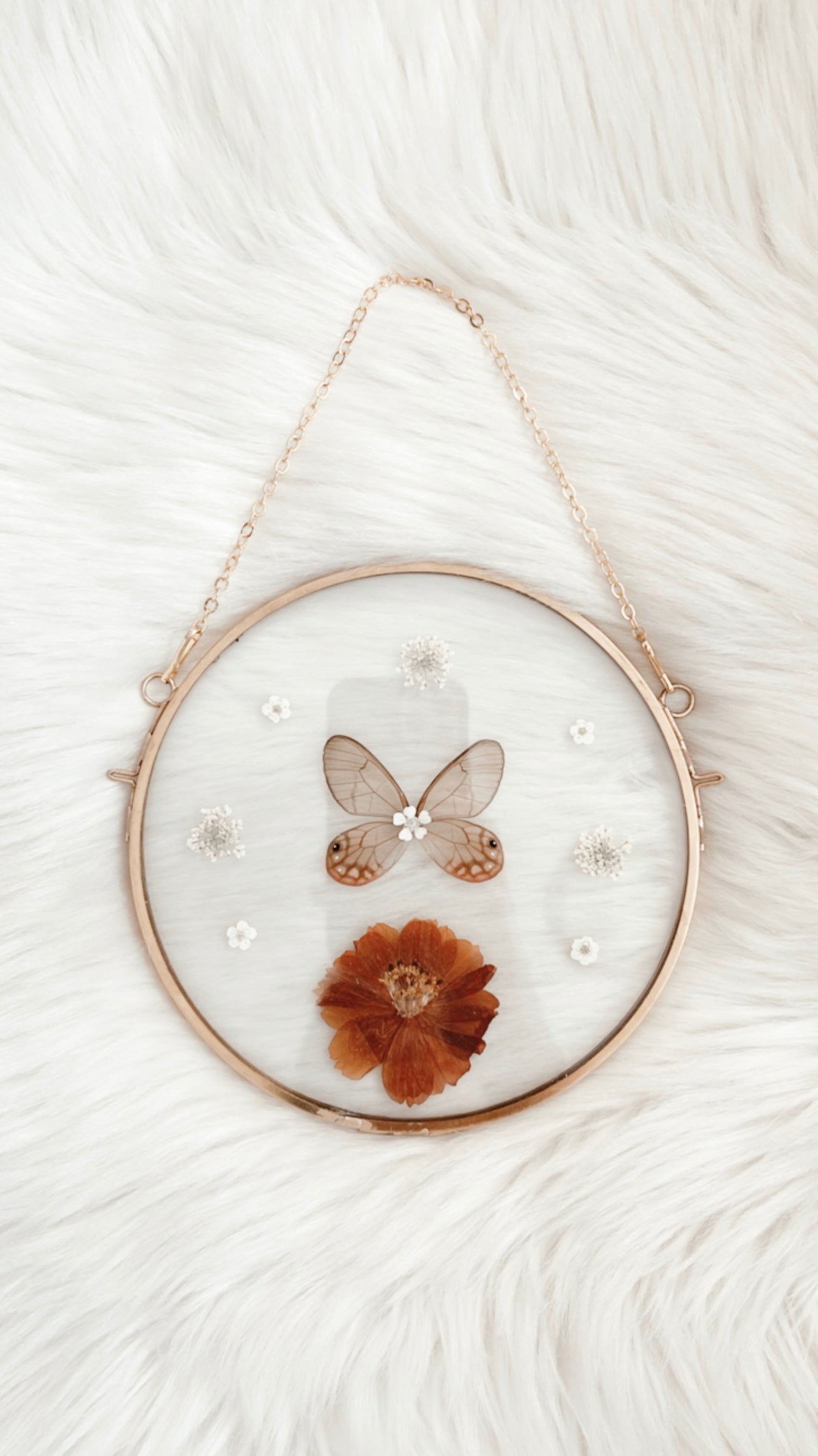 Alice Butterfly Floral Frame