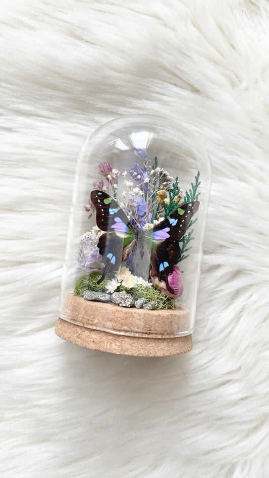 Alissa Terrarium