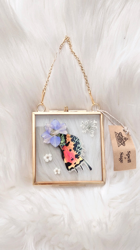 Allura Moth Floral Frame <3x3in>