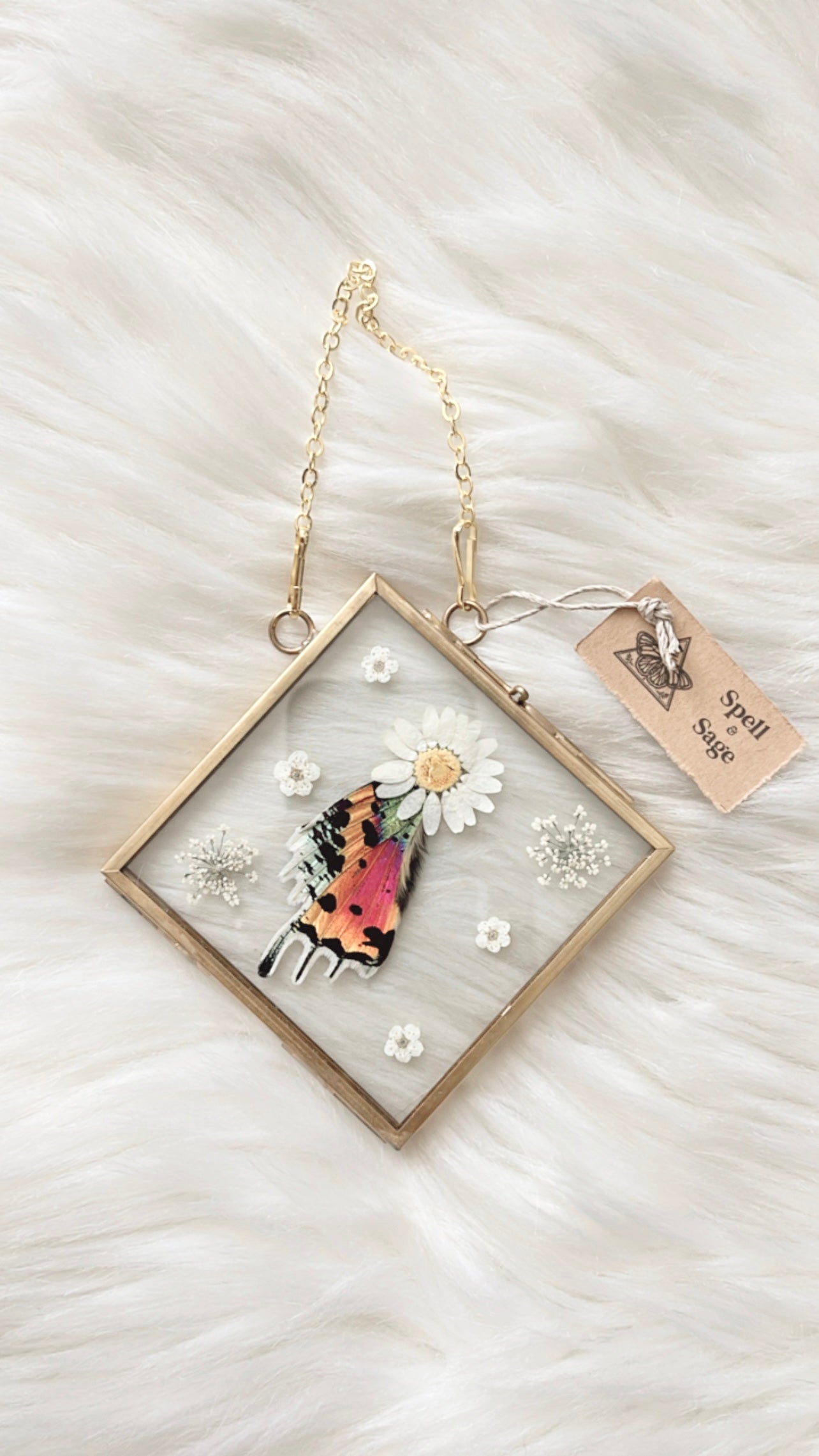 Alma Moth Floral Frame <4.75x4.75in>