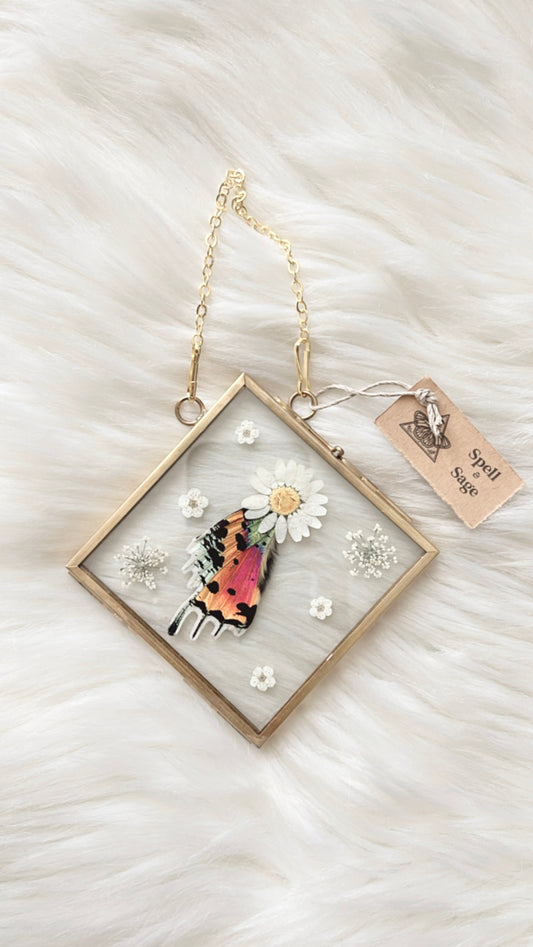 Alma Moth Floral Frame <4.75x4.75in>