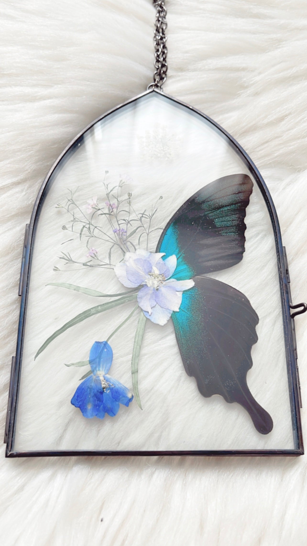 Alysha Butterfly Floral Frame