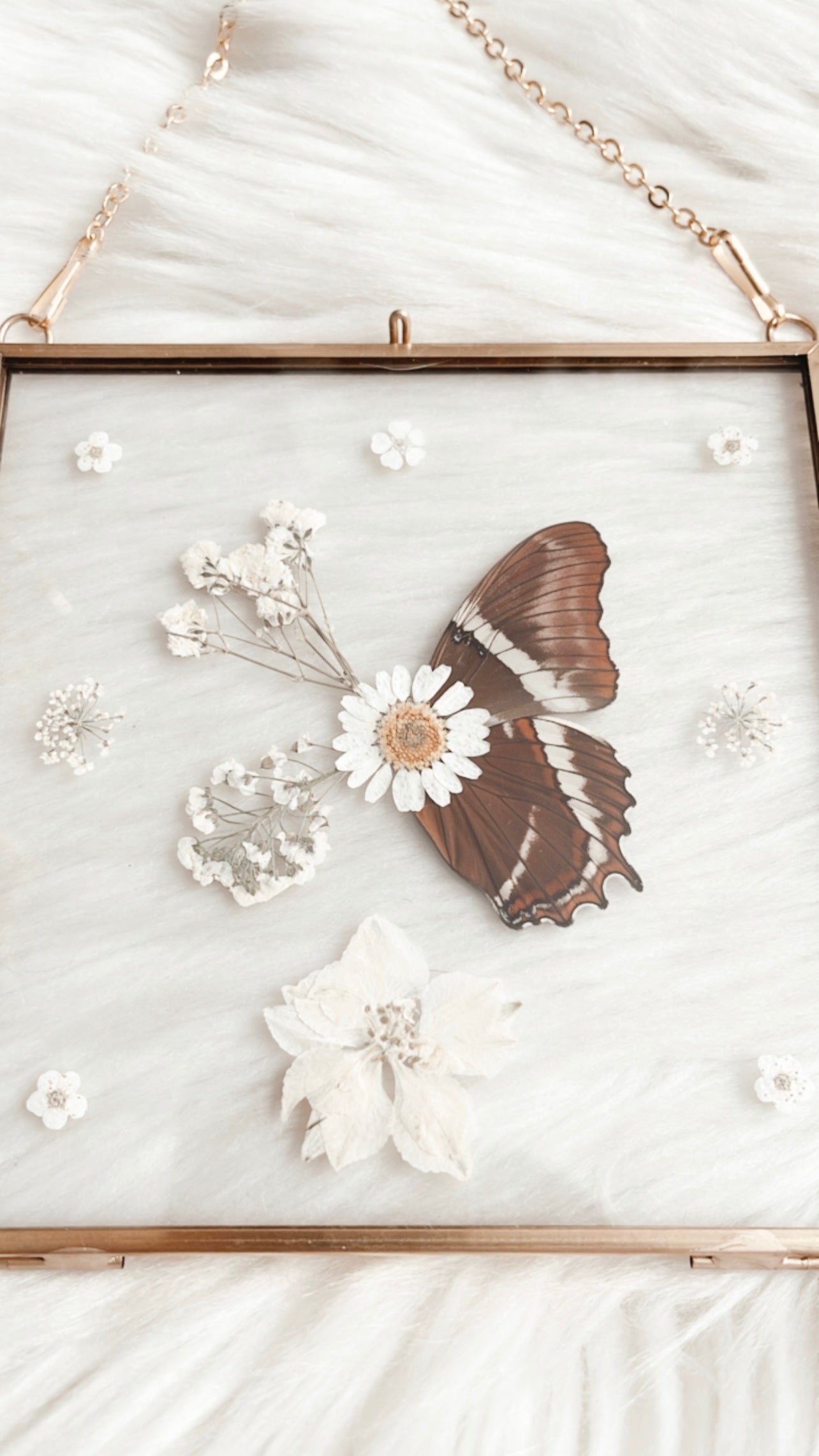 Amber Butterfly Floral Frame