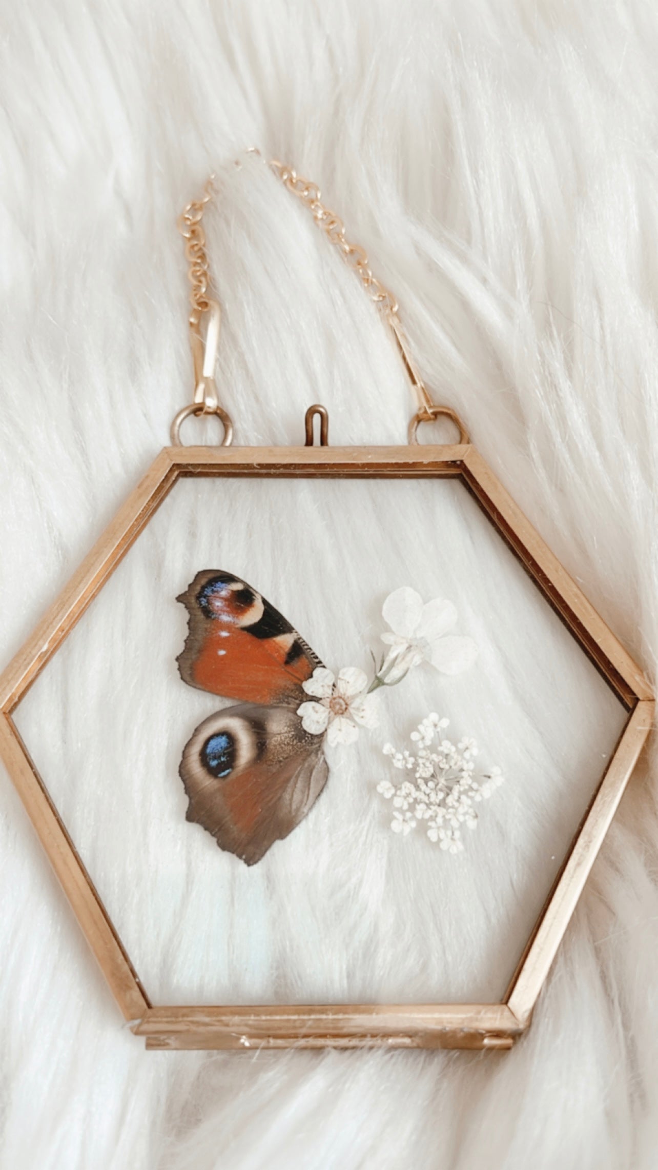 Amber Butterfly Floral Frame