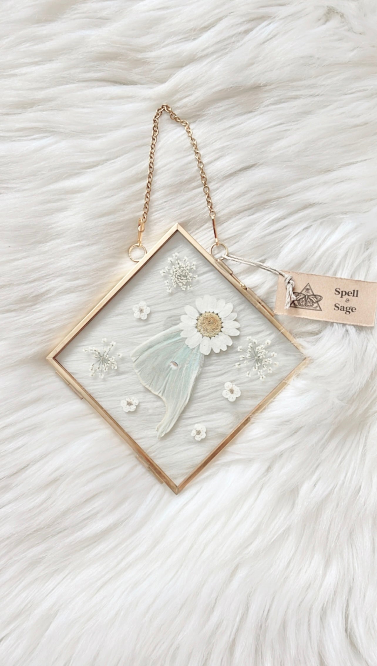 Amelia Moth Floral Frame <5.5x5.5in>