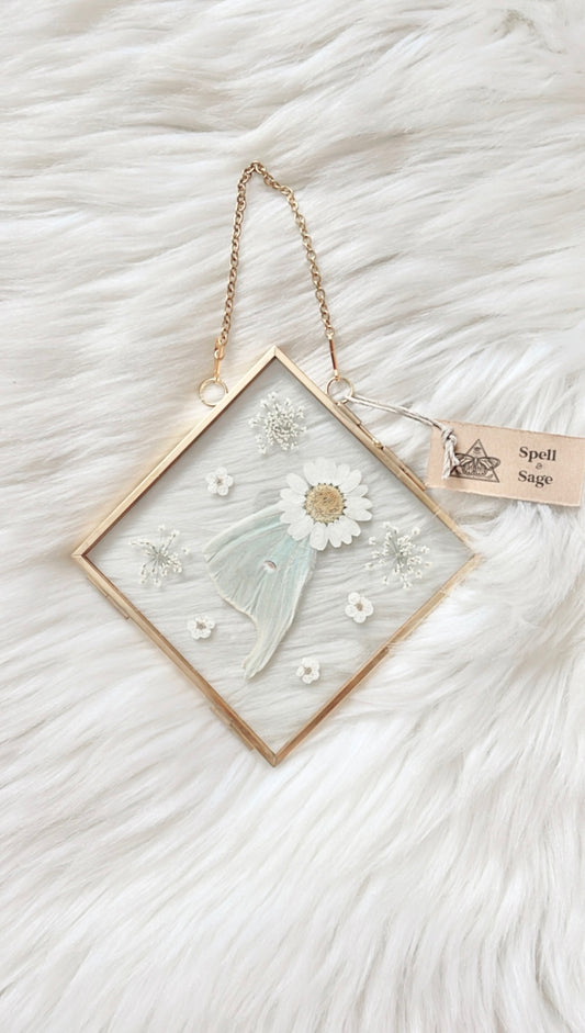 Amelia Moth Floral Frame <5.5x5.5in>