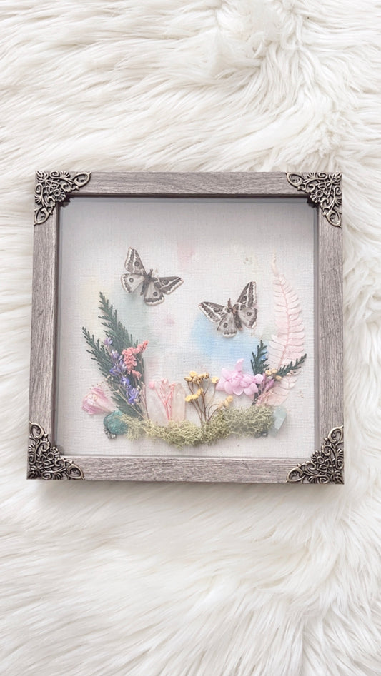 Amelia Moth Shadowbox
