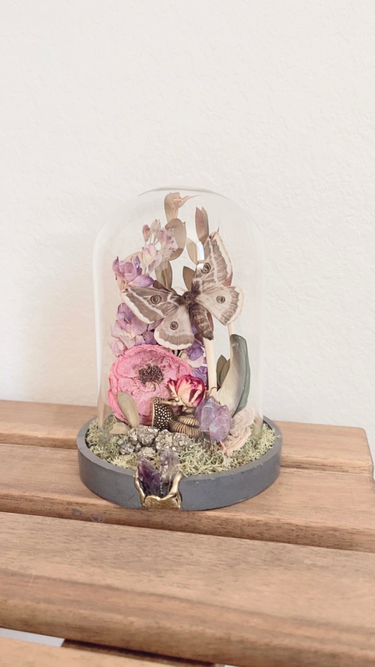 Amelia Terrarium