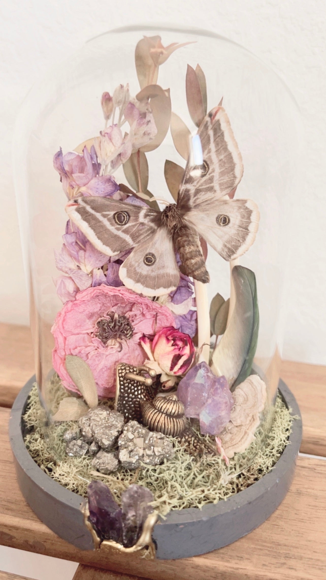Amelia Terrarium