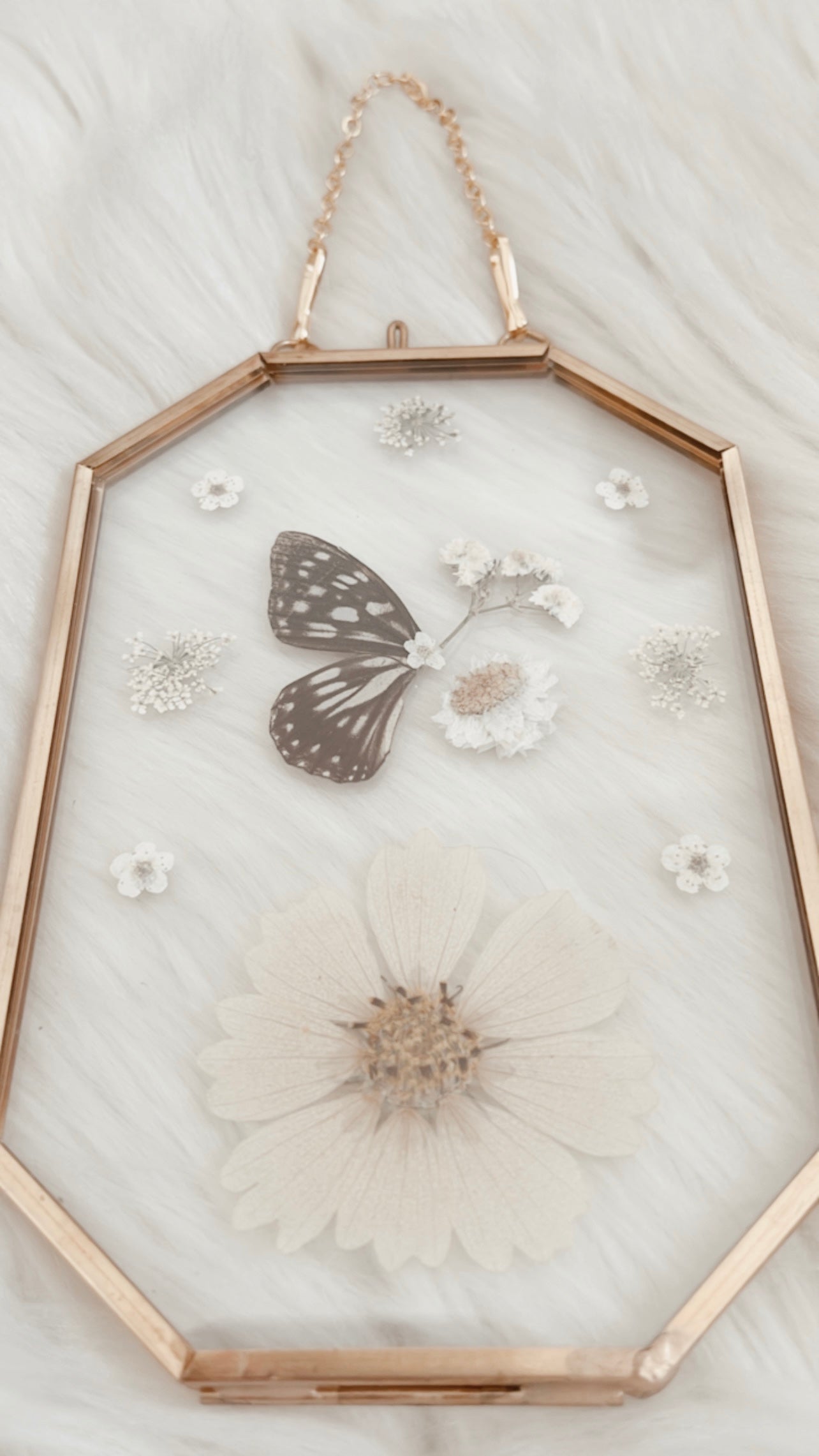 Amelie Butterfly Floral Frame