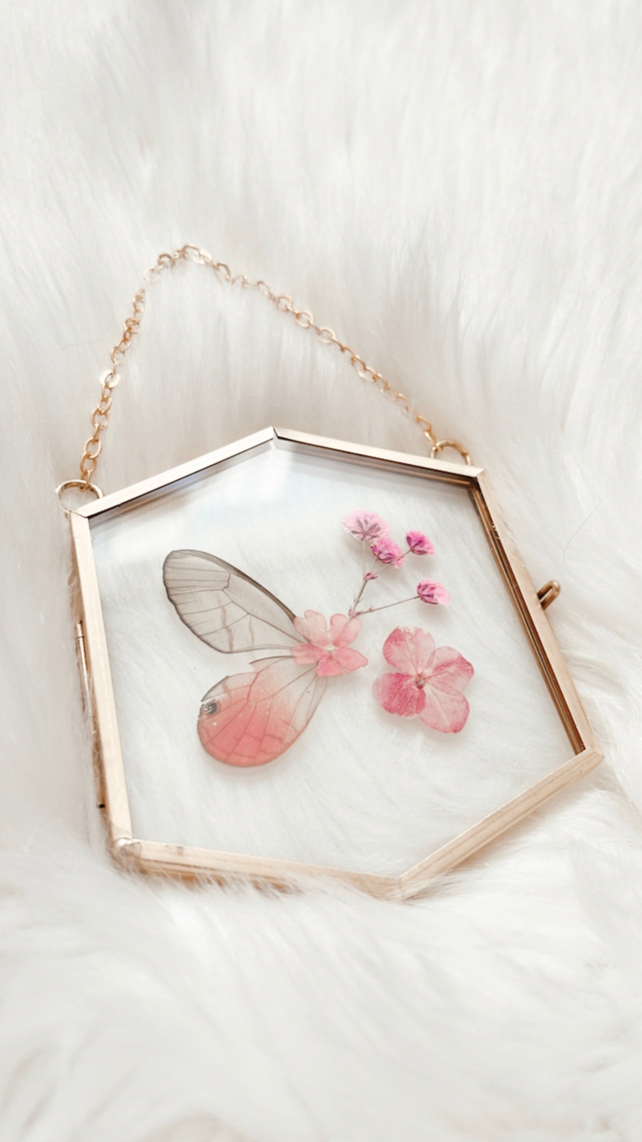 Anastasia Butterfly Floral Frame