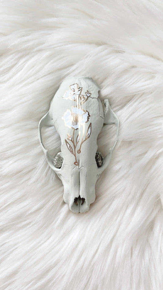 Anne Raccoon Skull