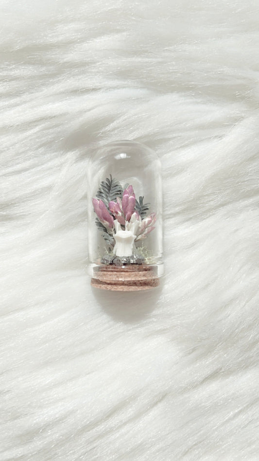 Anne Terrarium