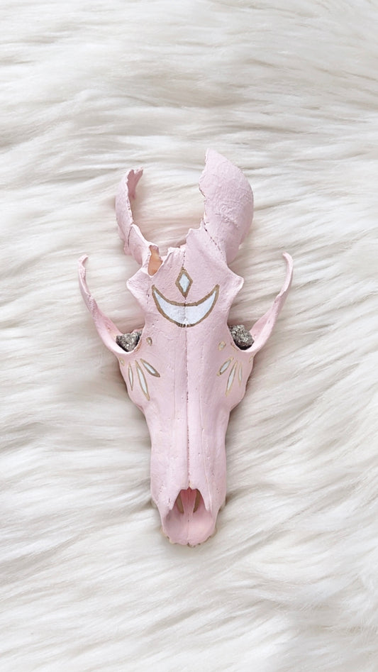 Anya Coyote Skull