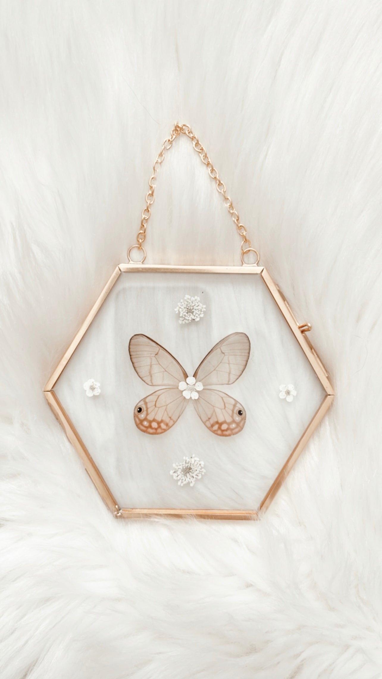 Arabella Butterfly Floral Frame