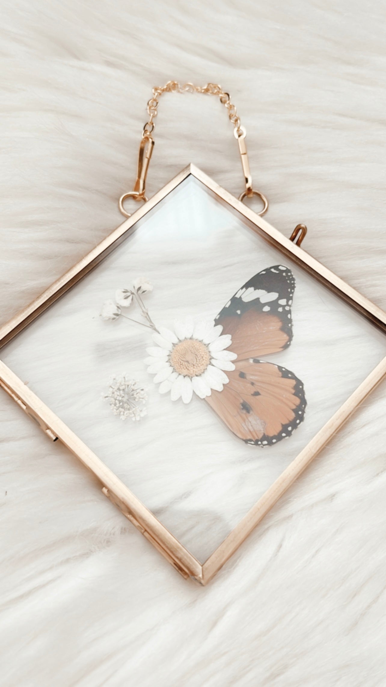 Ariana Butterfly Floral Frame