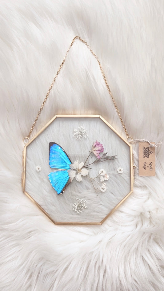 Ari Butterfly Floral Frame <6x6in>